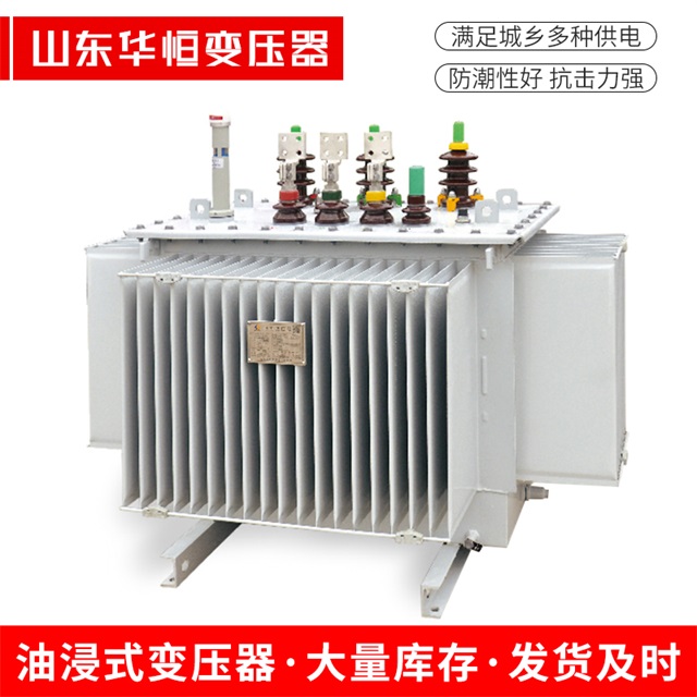 S13-10000/35温县温县温县电力变压器